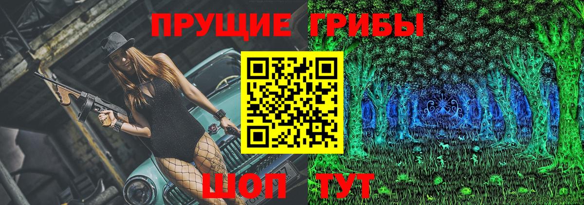 Галлюциногенные грибы Psilocybe Михайловка