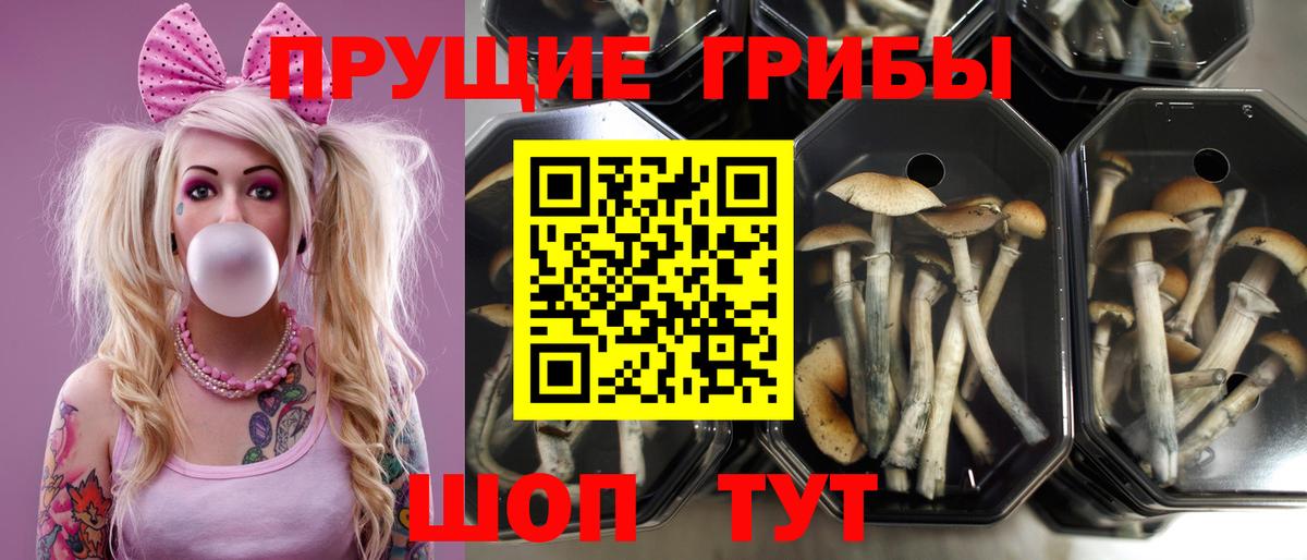 Галлюциногенные грибы мухоморы  Вход с VPN  Михайловка 